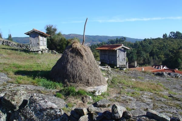 Foto 27 da atividade Galeria de Fotos