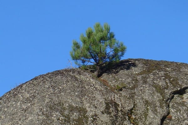 Foto 16 da atividade Galeria de Fotos