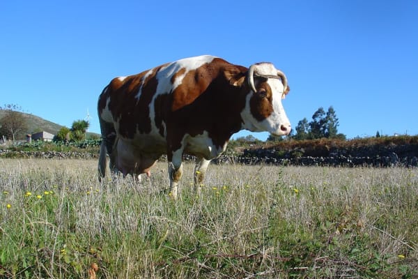 Foto 9 da atividade Galeria de Fotos