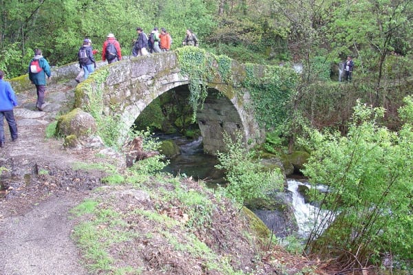 Foto 179 da atividade Galeria de Fotos