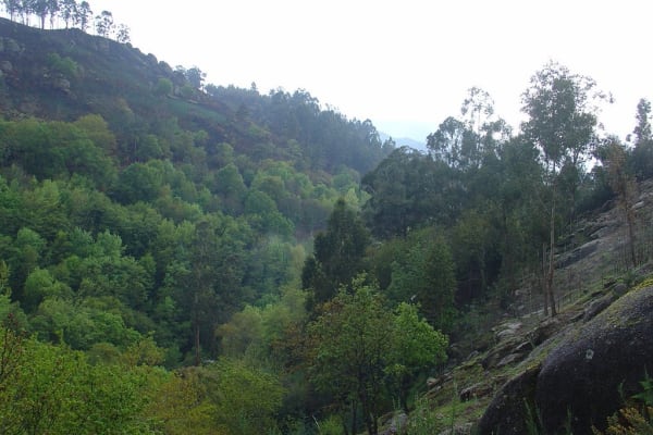 Foto 151 da atividade Galeria de Fotos