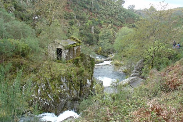 Foto 139 da atividade Galeria de Fotos