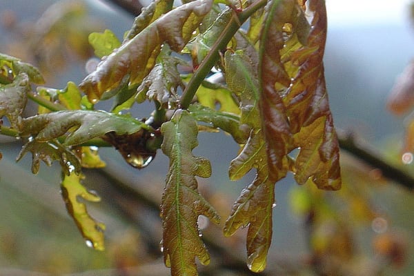 Foto 141 da atividade Galeria de Fotos