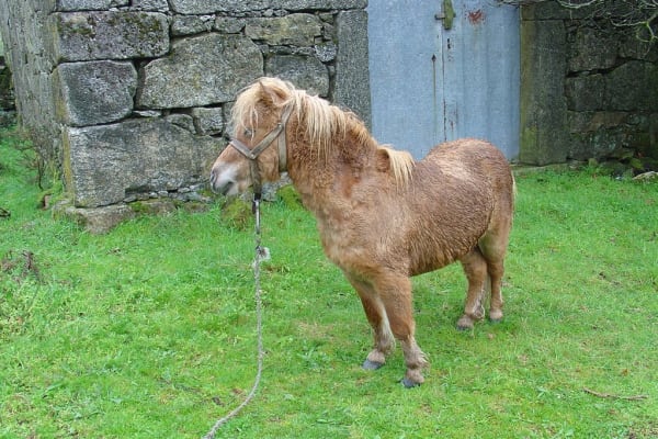 Foto 136 da atividade Galeria de Fotos