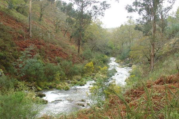 Foto 132 da atividade Galeria de Fotos