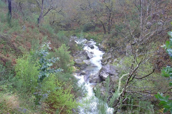 Foto 129 da atividade Galeria de Fotos