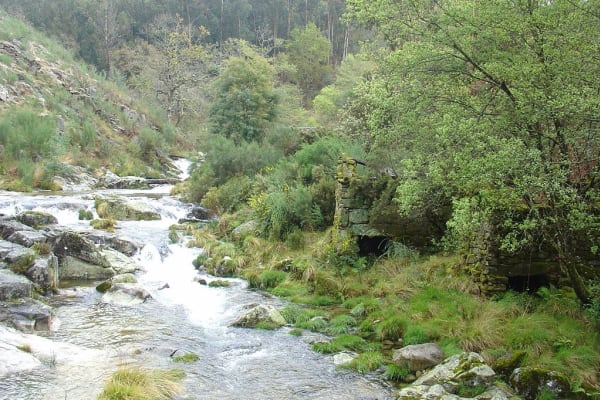 Foto 118 da atividade Galeria de Fotos