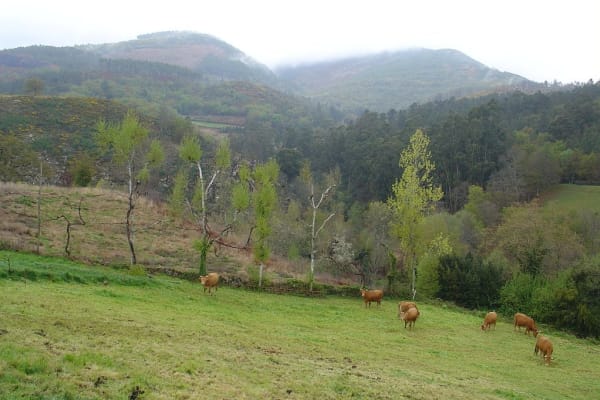 Foto 112 da atividade Galeria de Fotos