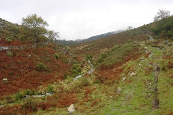 Foto 65 da atividade Galeria de Fotos