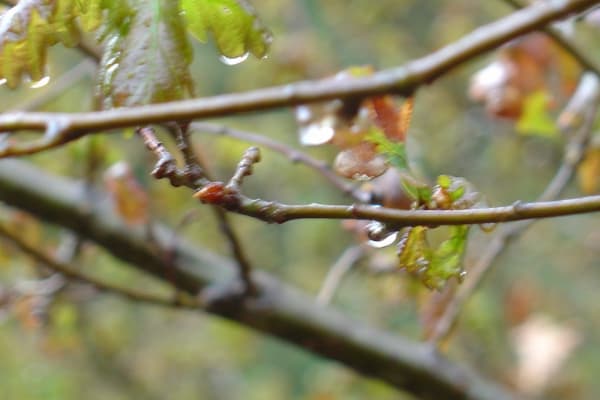 Foto 56 da atividade Galeria de Fotos