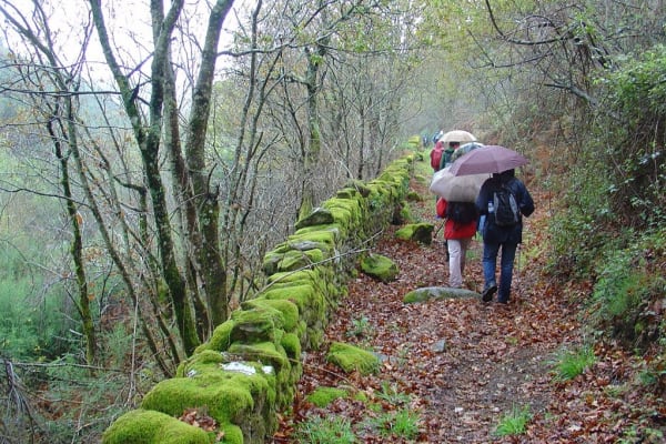 Foto 44 da atividade Galeria de Fotos