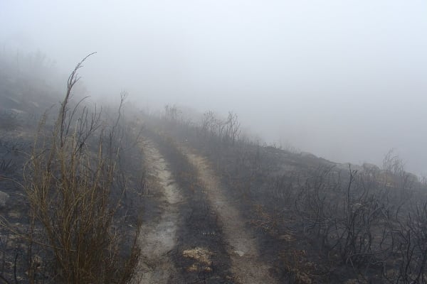 Foto 38 da atividade Galeria de Fotos