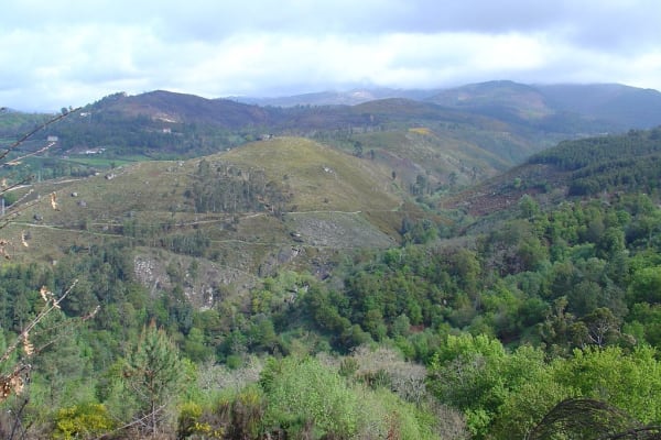 Foto 24 da atividade Galeria de Fotos