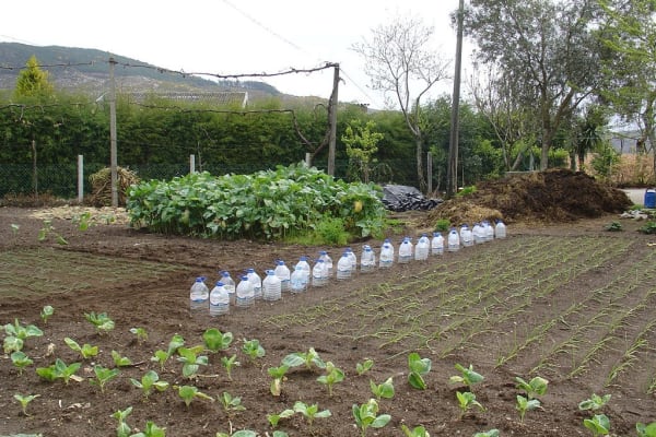 Foto 25 da atividade Galeria de Fotos