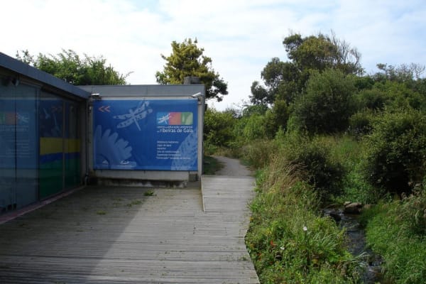 Foto 55 da atividade Galeria de Fotos