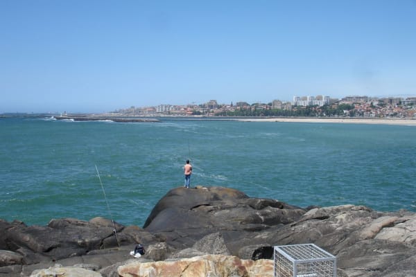 Foto 54 da atividade Galeria de Fotos