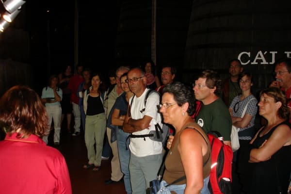 Foto 38 da atividade Galeria de Fotos