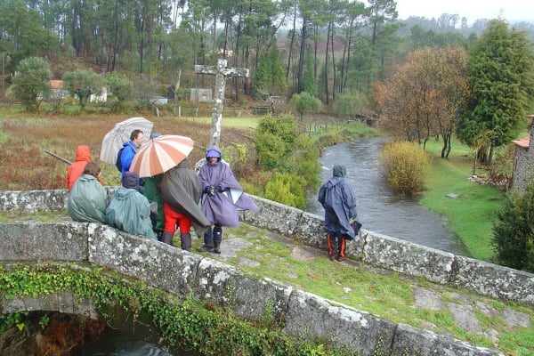 Foto 54 da atividade Galeria de Fotos