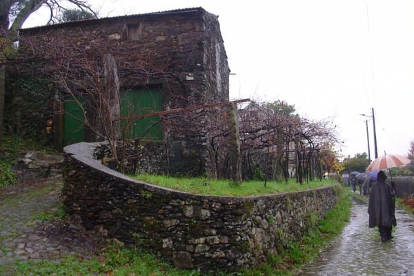 Foto 42 da atividade Galeria de Fotos