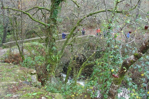 Foto 38 da atividade Galeria de Fotos