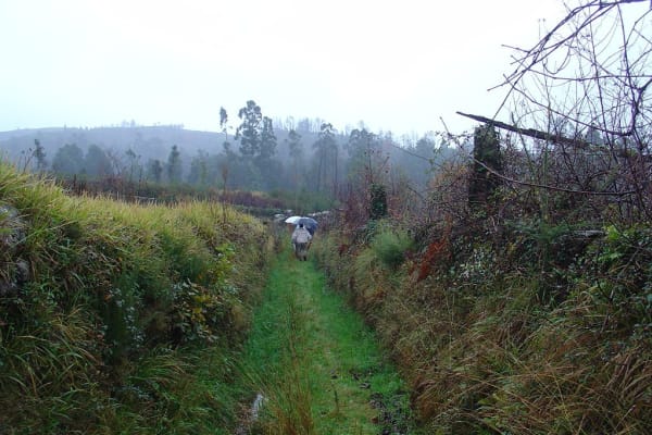 Foto 8 da atividade Galeria de Fotos