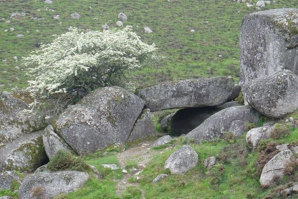 Foto 122 da atividade Galeria de Fotos