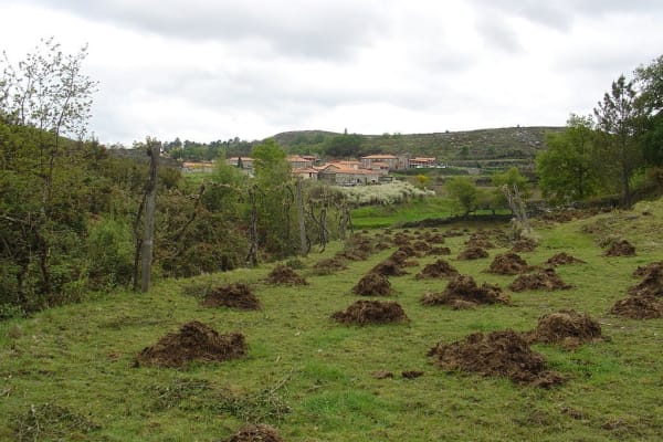 Foto 110 da atividade Galeria de Fotos