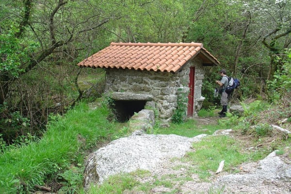 Foto 99 da atividade Galeria de Fotos