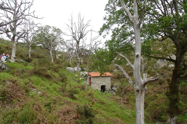 Foto 94 da atividade Galeria de Fotos