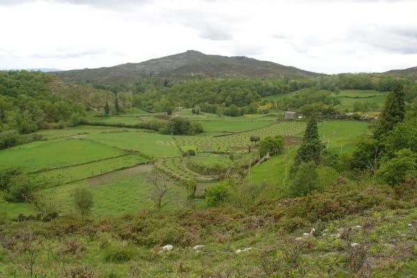 Foto 68 da atividade Galeria de Fotos