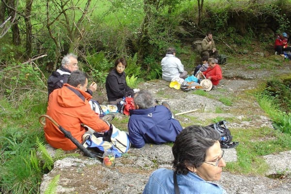 Foto 50 da atividade Galeria de Fotos