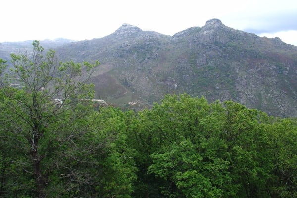 Foto 7 da atividade Galeria de Fotos