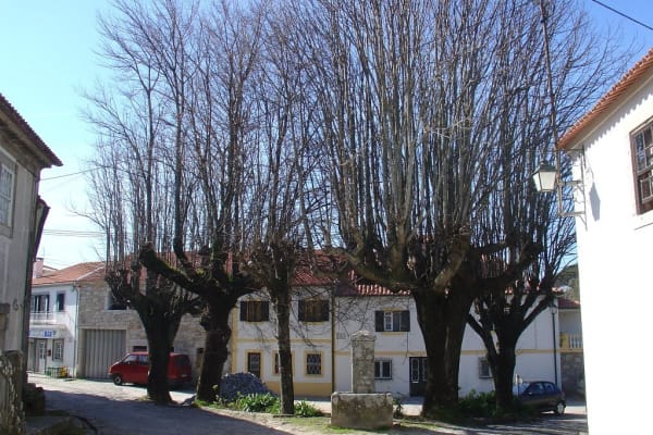 Foto 197 da atividade Galeria de Fotos