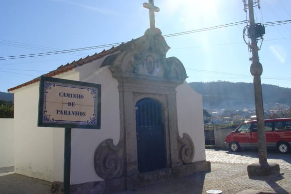 Foto 187 da atividade Galeria de Fotos