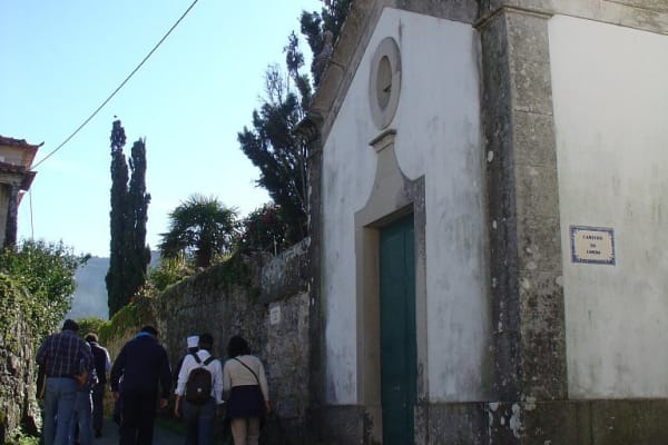 Foto 159 da atividade Galeria de Fotos