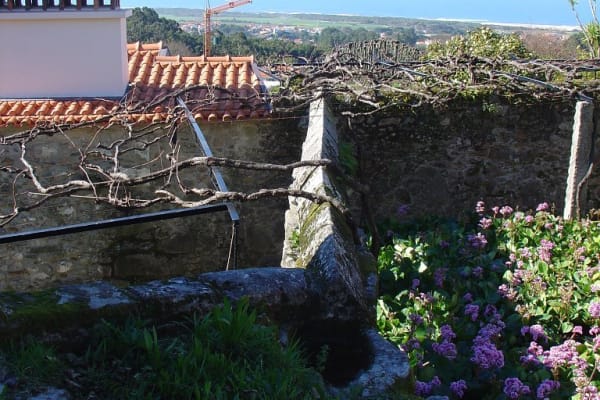 Foto 154 da atividade Galeria de Fotos