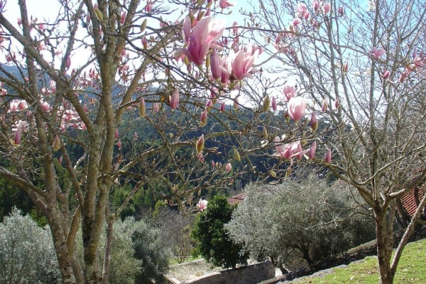 Foto 155 da atividade Galeria de Fotos