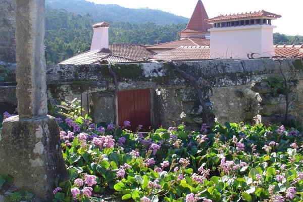 Foto 140 da atividade Galeria de Fotos