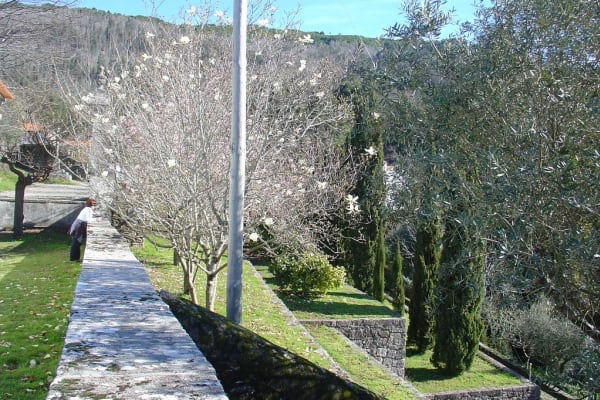 Foto 132 da atividade Galeria de Fotos