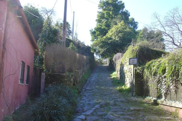 Foto 94 da atividade Galeria de Fotos