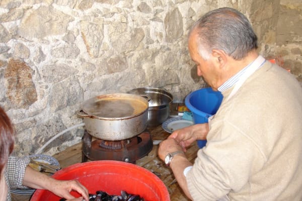 Foto 60 da atividade Galeria de Fotos