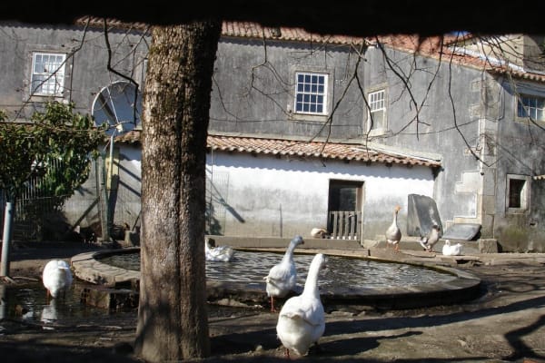 Foto 48 da atividade Galeria de Fotos