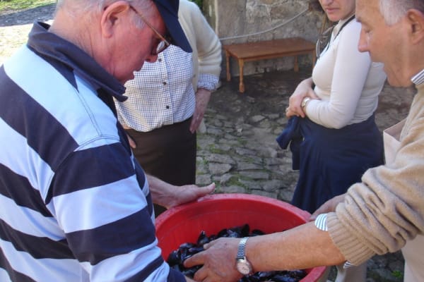 Foto 33 da atividade Galeria de Fotos