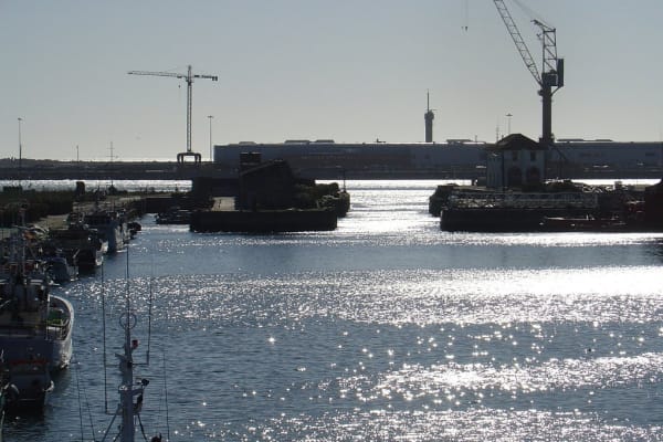 Foto 197 da atividade Galeria de Fotos