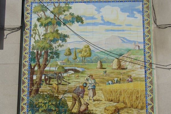 Foto 191 da atividade Galeria de Fotos