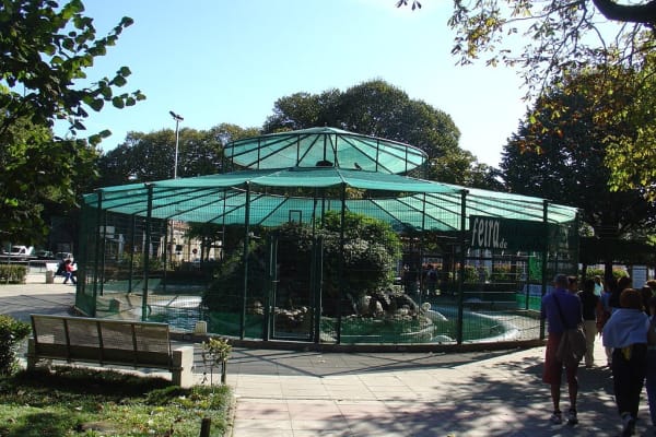 Foto 157 da atividade Galeria de Fotos