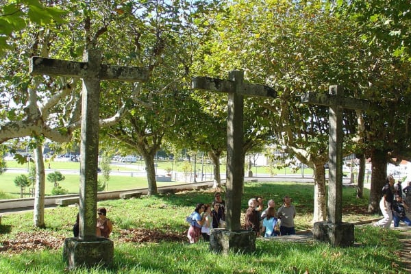 Foto 141 da atividade Galeria de Fotos