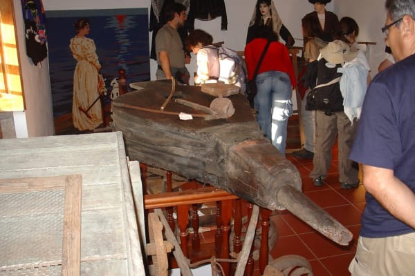 Foto 81 da atividade Galeria de Fotos