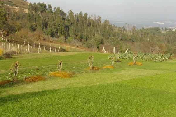 Foto 32 da atividade Galeria de Fotos