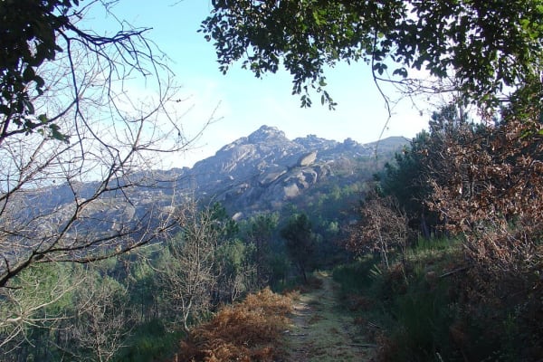 Foto 25 da atividade Galeria de Fotos